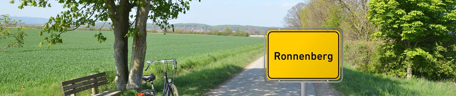 Immobilienpreise Ronnenberg